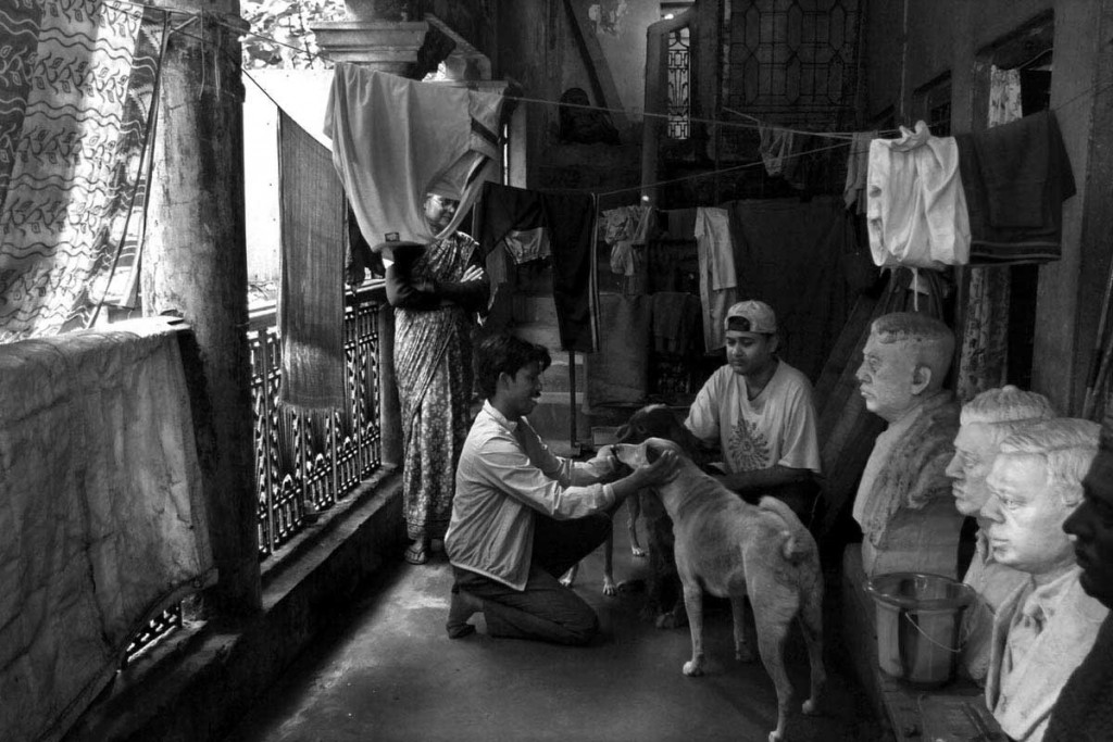 Mr.Sandip Karan check up a street dog at one of his doneter(R) house.