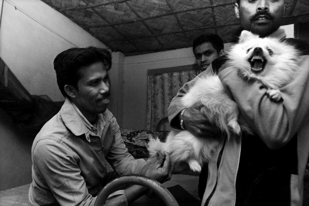 Mr.Sandip Karan inject vaccine to a dog at one of his client house. Mr.Sandip Karan quite popular in his area as 'street dog doctor'.