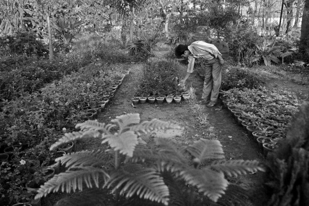 Mr.Sandip Karan is a keen gardener. Gardening is one of his hobby.