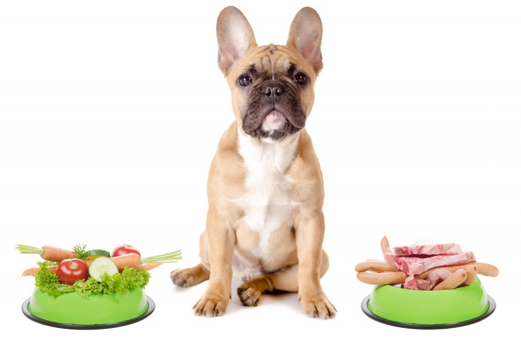 Vegetables Or Meat For The Dog