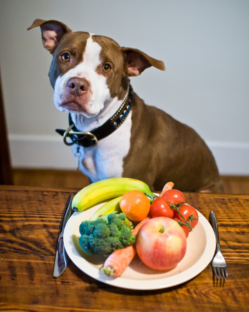 healthy foods for dogs