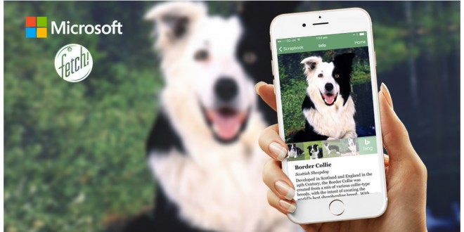 Microsoft Fetch | App That Recognizes Dog Breeds Instantly