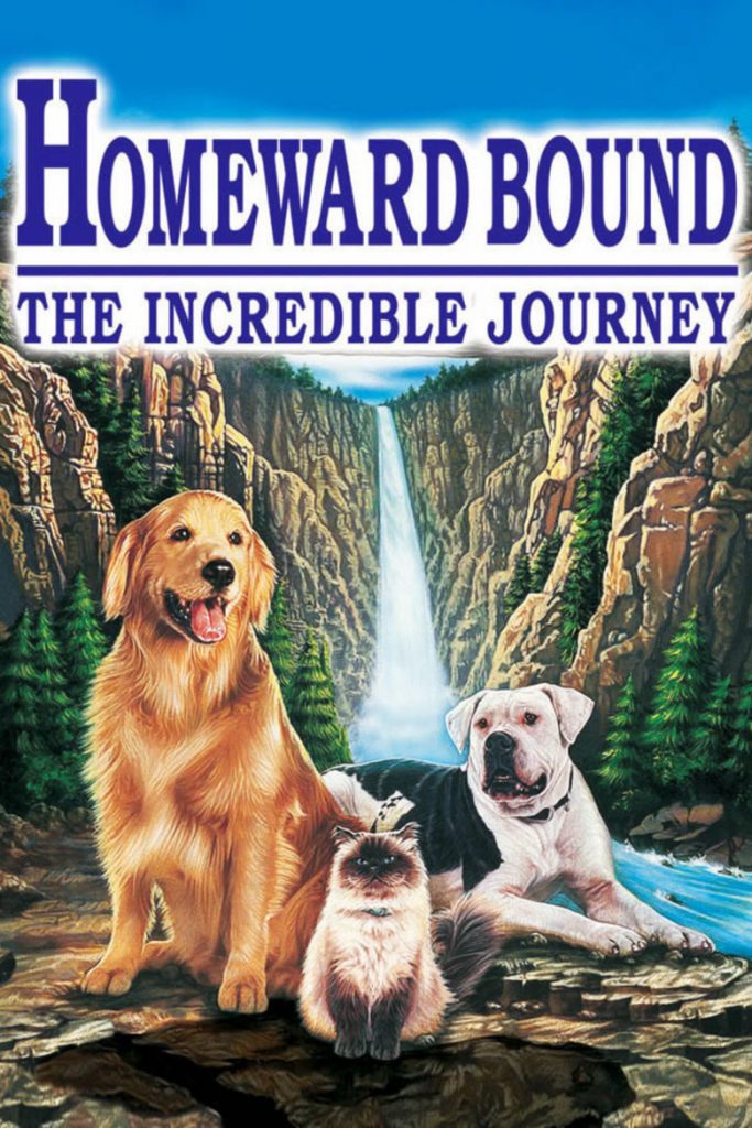 10 best dog movies - movie 4 Homeward Bound