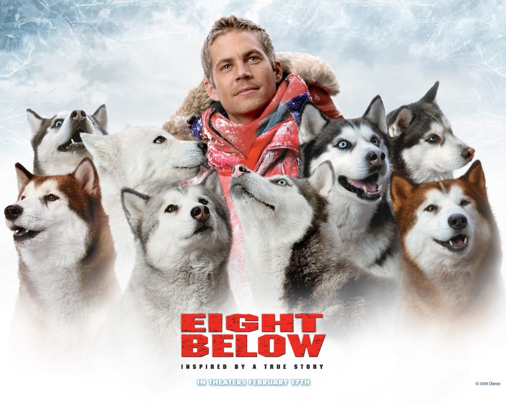 10 best dog movies - movie 5 Eight Below