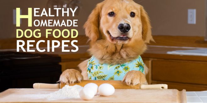 5 Healthy Homemade Dog Food Recipes