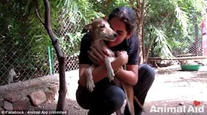 Animal Aid Unlimited Rescued A Dog_4