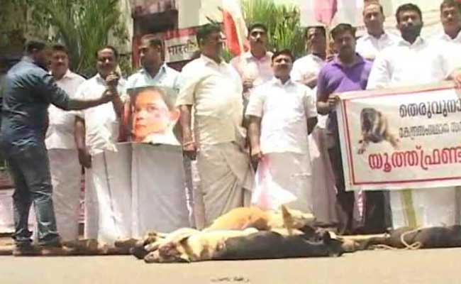 Stray Dogs Killed in Kerala
