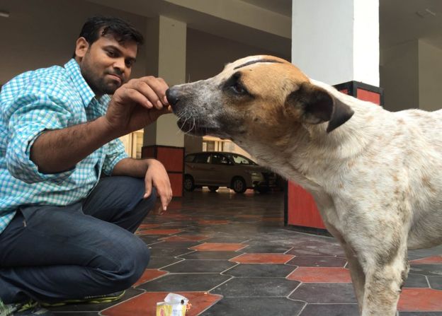 Sonu - stray dogs of delhi