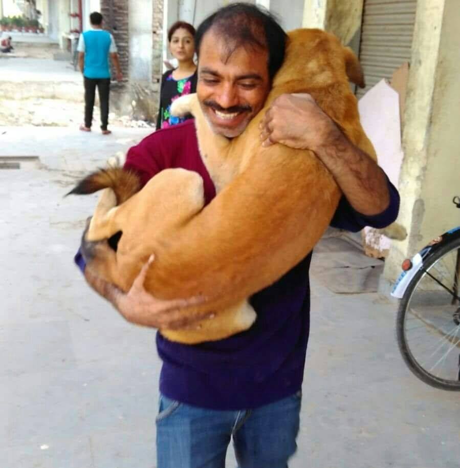 Furever Friends | Rescuing Dogs in Chandigarh | DogExpress