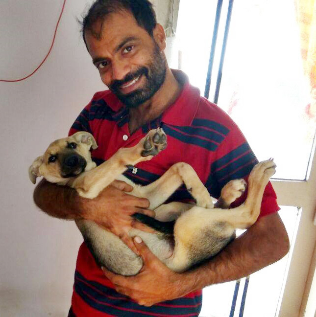 Furever Friends | Rescuing Dogs in Chandigarh | DogExpress