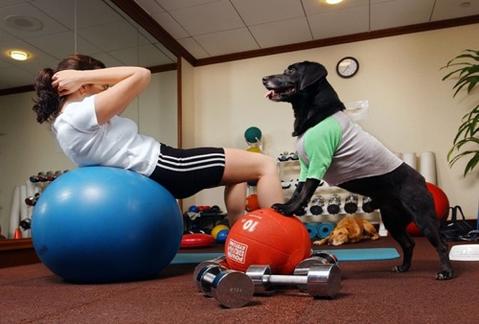 Workout inside with your dog