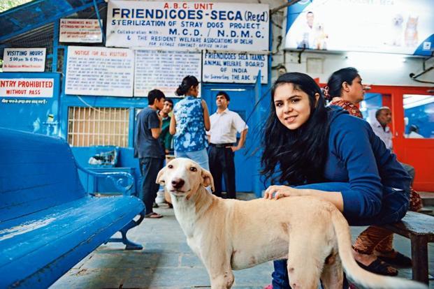 Friendicoes (SECA) - A Shelter For Stray Animals | DogExpress